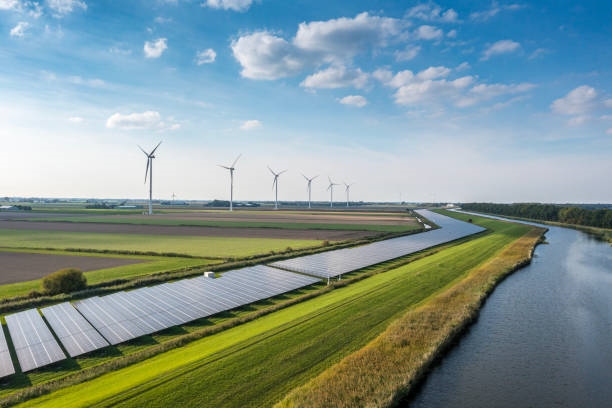 Projectleider Landelijk Gebied