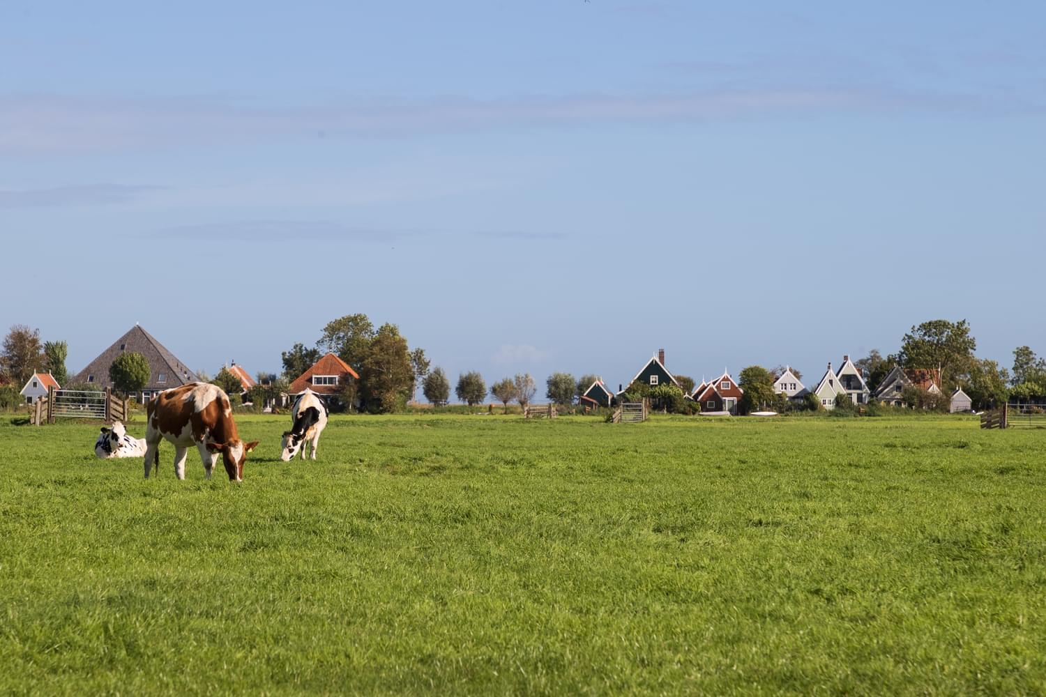 Open sollicitatie Landelijk gebied